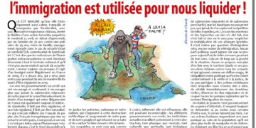 Attentat de Rambouillet : comment l’immigration est utilisée pour nous liquider !