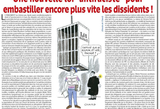 Une nouvelle loi “antiraciste” pour embastiller encore plus vite les dissidents !