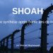 Nouveauté : Shoah, une synthèse – Vincent Reynouard