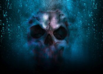 Haine tribale : L’OJE diffuse l’adresse de Cassandre sur les réseaux sociaux