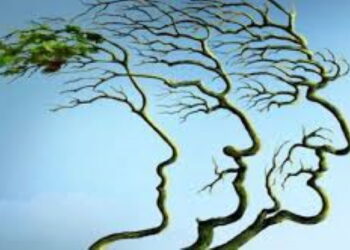 France, pays de retraités et d’immigrés