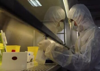 Le gouvernement américain a cautionné et financé des expérimentations sur des virus mutants SRASr-CoV et ARNm